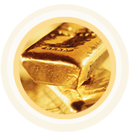 技術(shù)研發(fā)團(tuán)隊